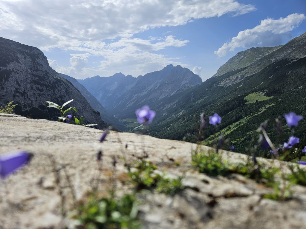 Blick ins Karwendeltal mit blühenden Glockenblumen im Vordergrund
