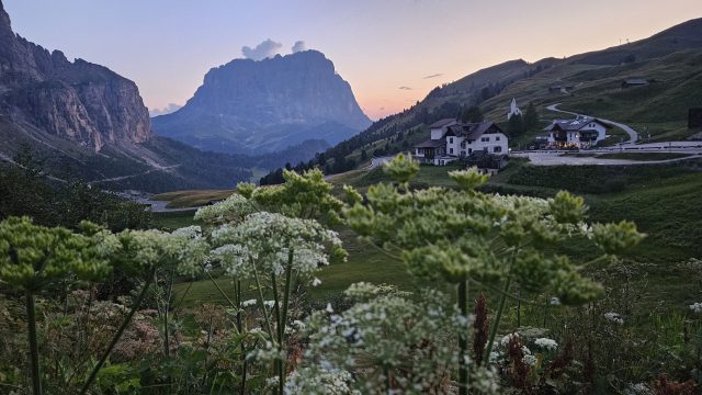 Abendstimmung am Grödner Joch mit Blick auf Langkofel und blühende Wiesen