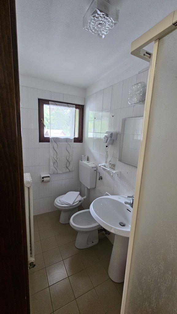 Kleines, sauberes Badezimmer mit Dusche und WC im Hotel Tea Dolomiti