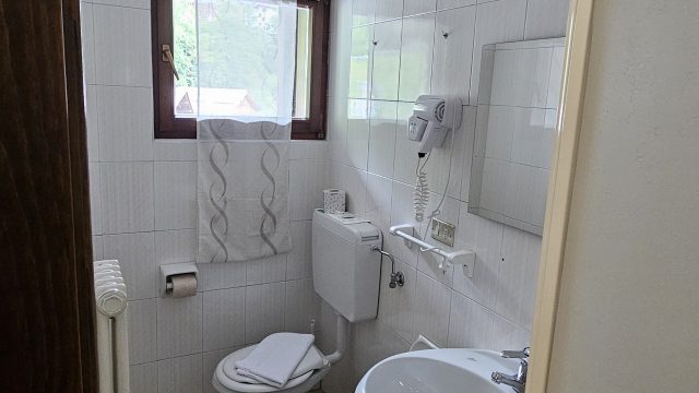 Kleines, sauberes Badezimmer mit Dusche und WC im Hotel Tea Dolomiti