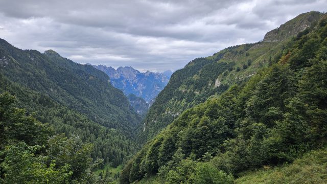 Tiefer, bewaldeter Taleinschnitt mit Blick Richtung Dolomiten unterhalb der Rifugio Bianchet